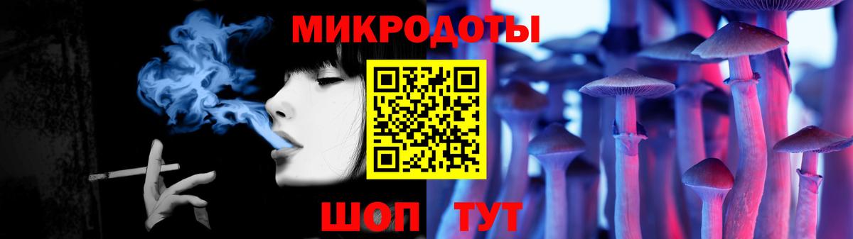 Псилоцибиновые грибы Psilocybine cubensis Елабуга